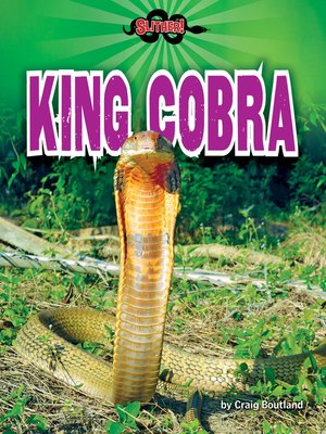 cover image of King Cobra